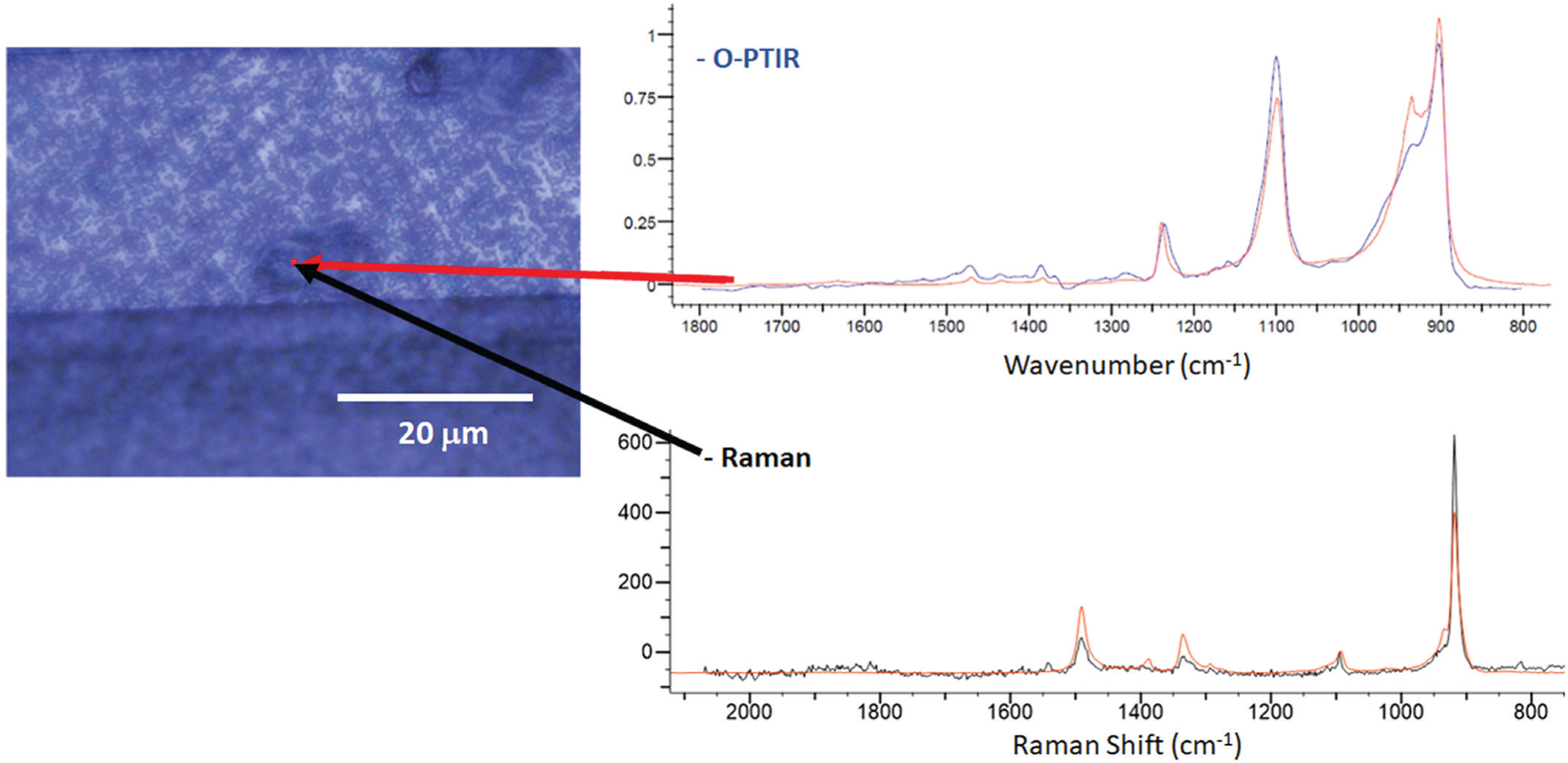 Figure 11: