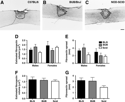 FIG. 5.