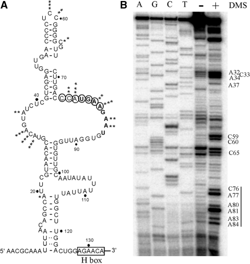 Figure 3.