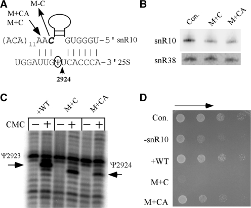 Figure 5.