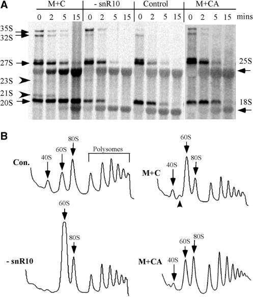 Figure 7.