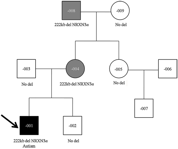 Fig. 1: