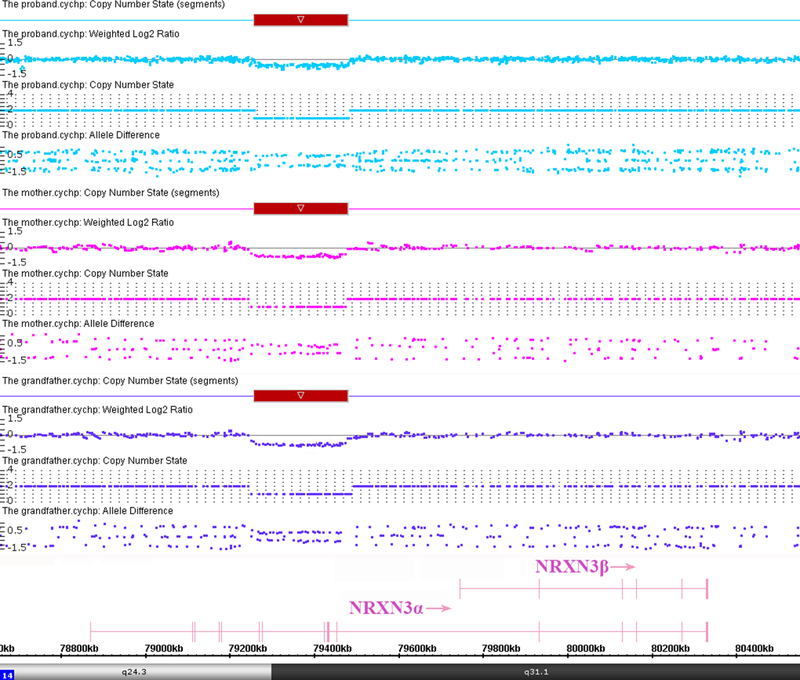 Fig. 3: