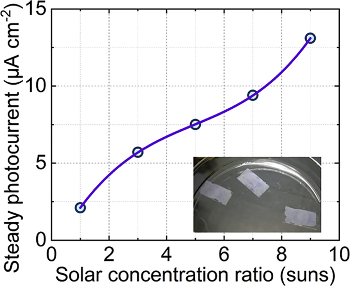 Figure 4