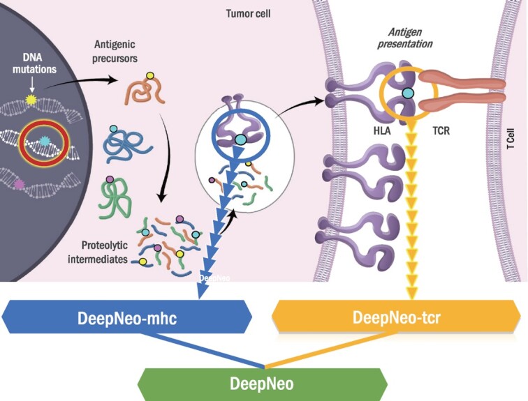 Graphical Abstract