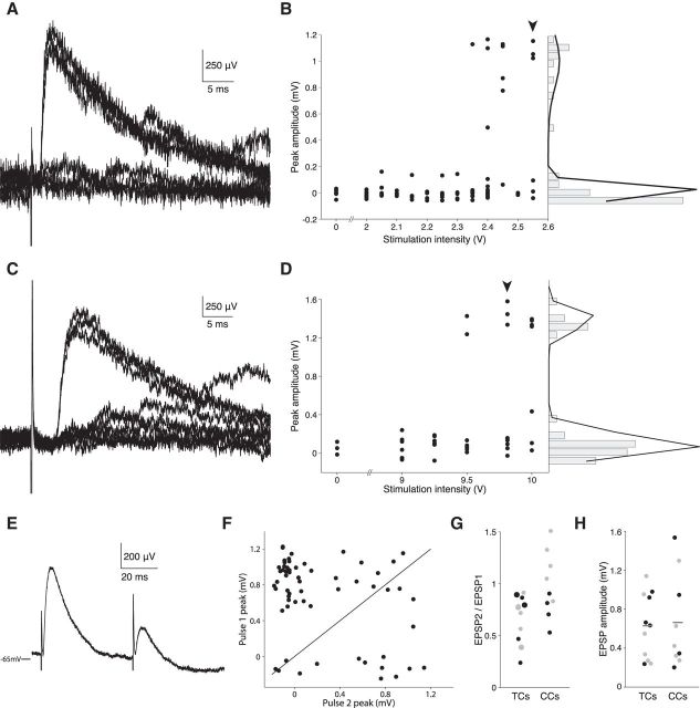 Figure 10.