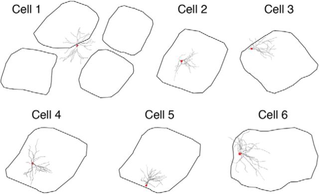 Figure 5.