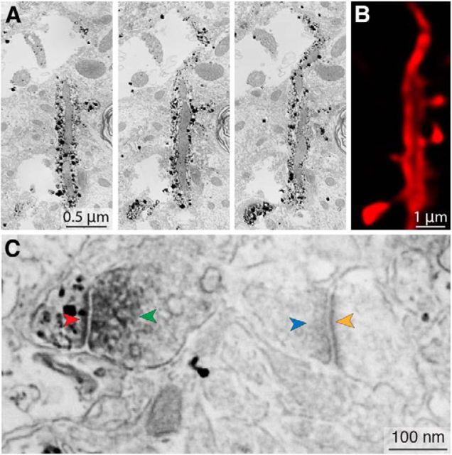 Figure 2.