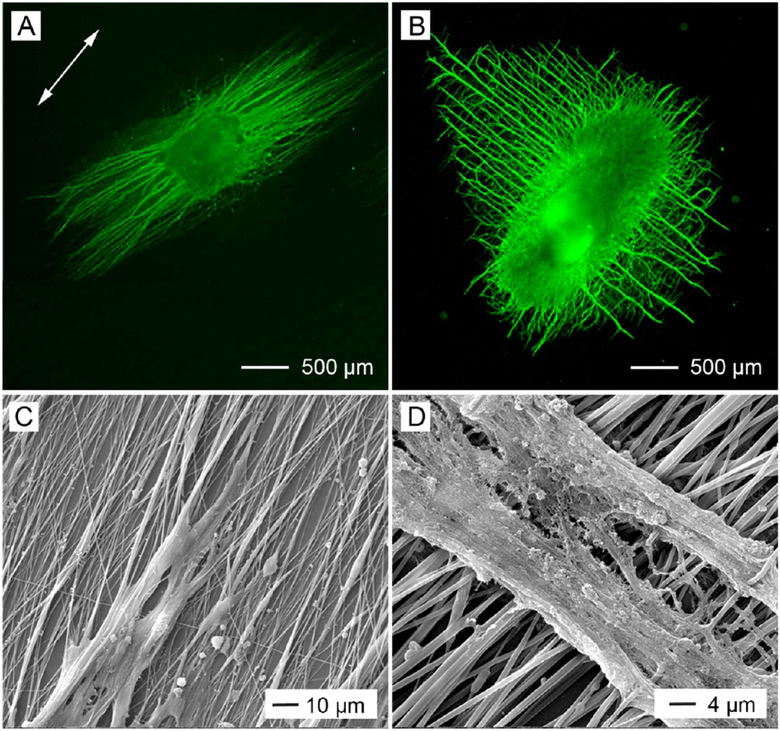 Figure 10.