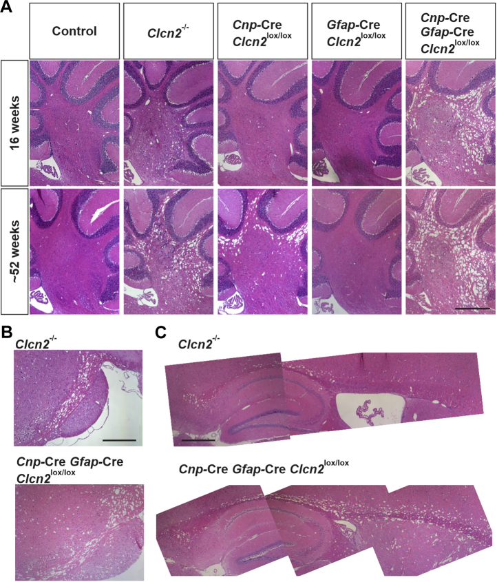 Figure 4