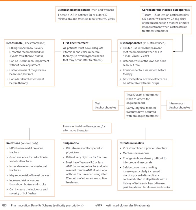 This is an algorithm outlining the osteoporosis drug treatments mentioned in the article.