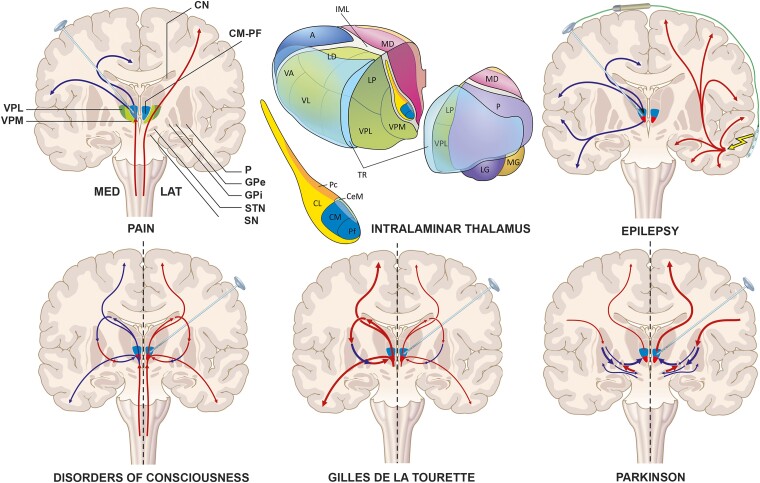 Fig. 2