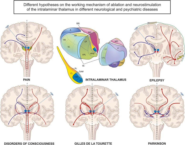 Graphical Abstract