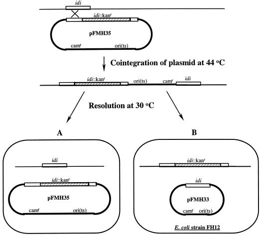 FIG. 1