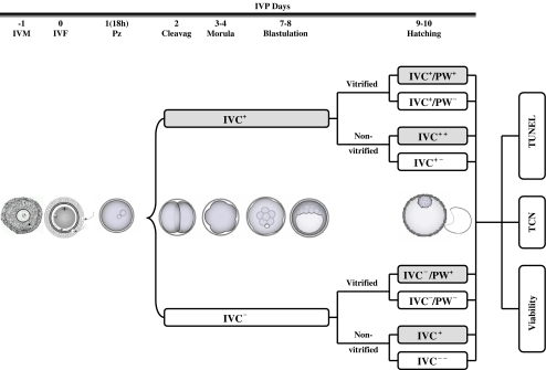 Fig 1