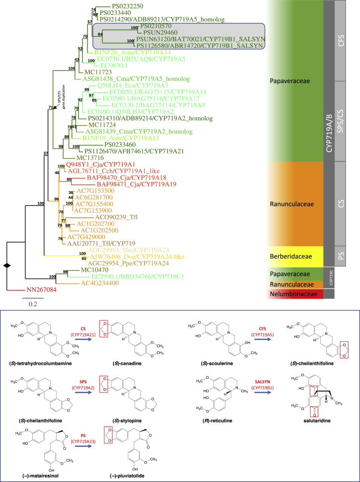 Figure 4