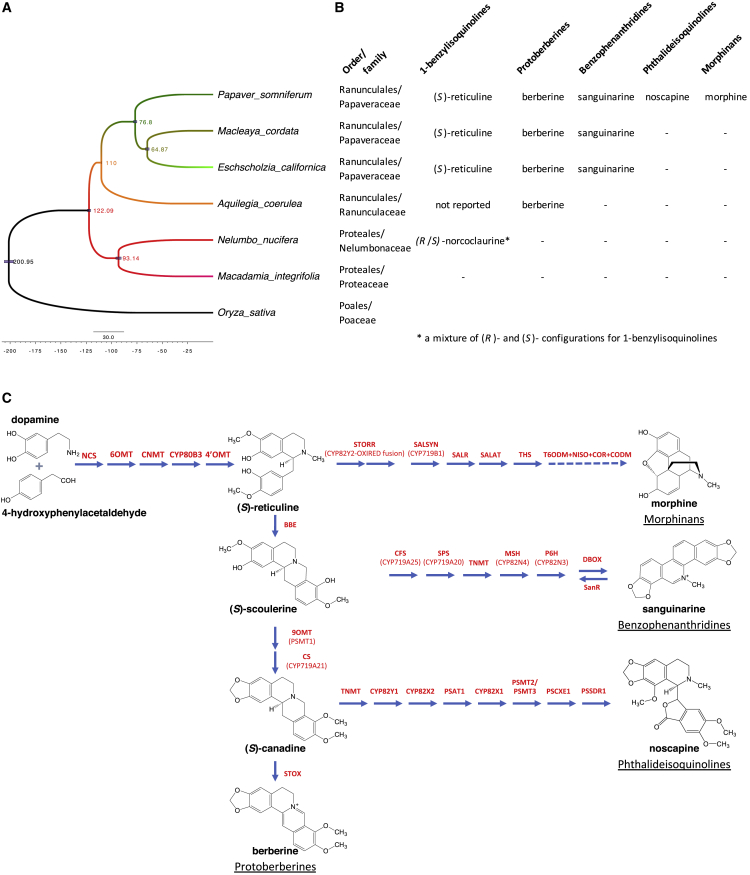 Figure 2