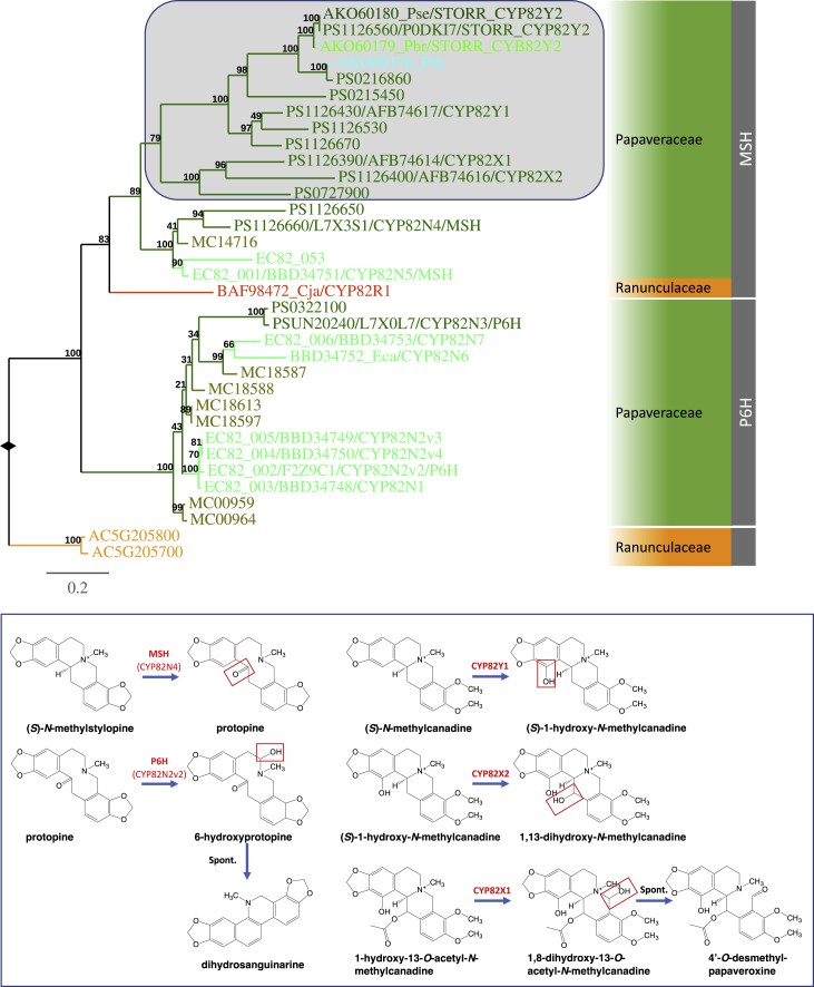 Figure 5