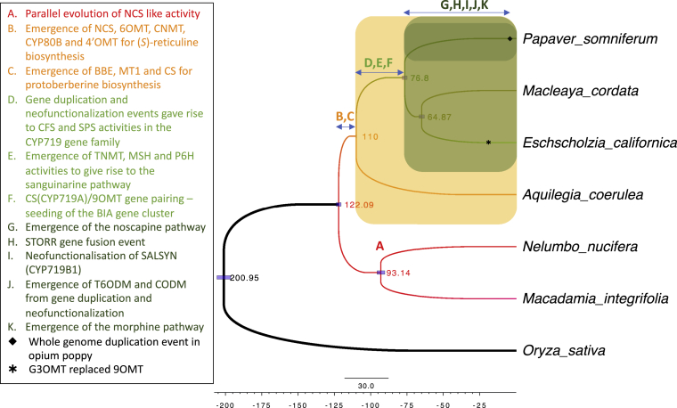 Figure 7