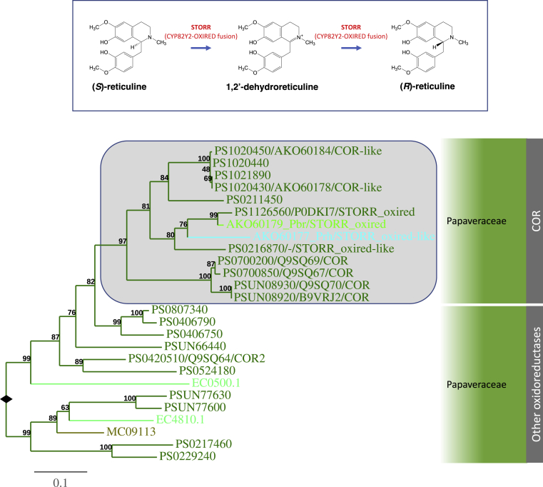 Figure 6