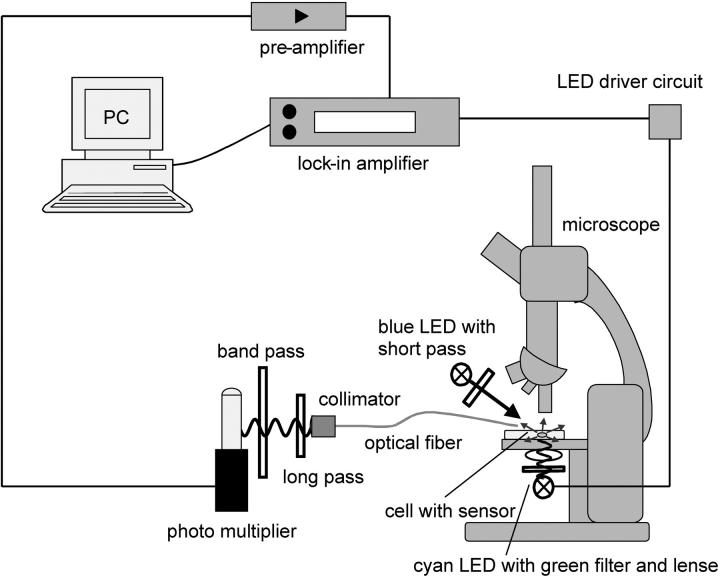 FIGURE 2