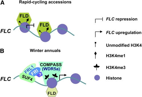 Figure 10.