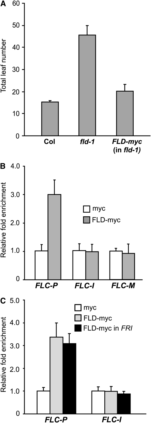 Figure 9.