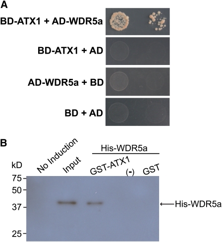 Figure 7.