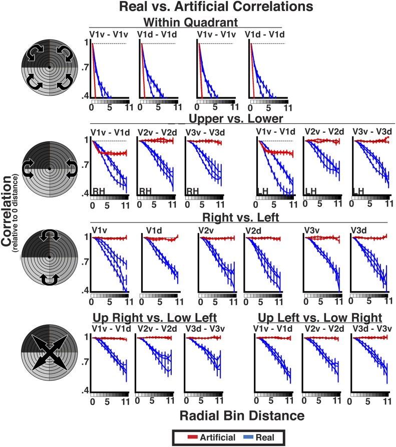 Figure 6—figure supplement 3.