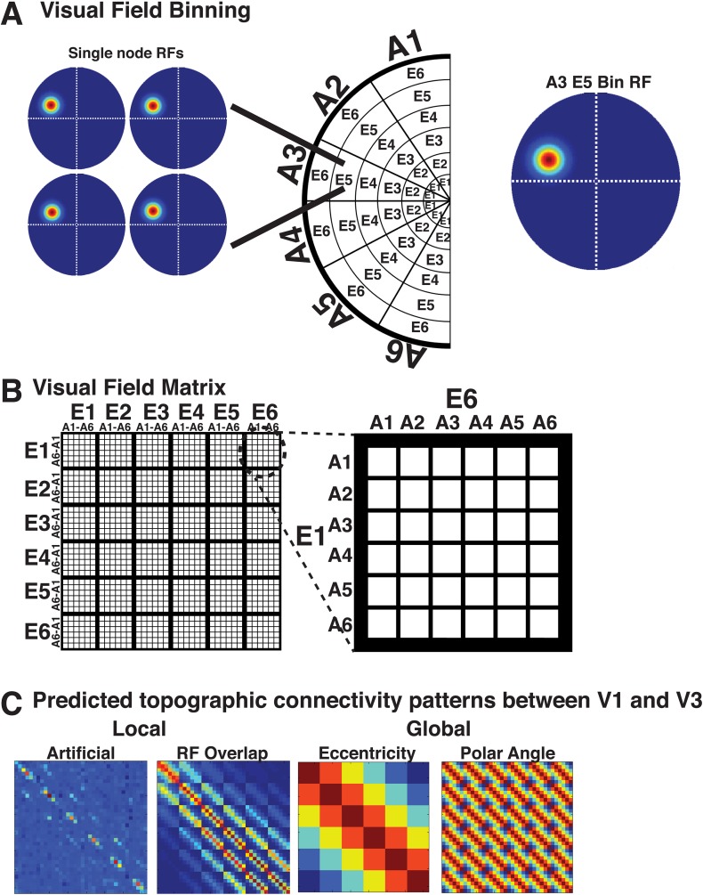 Figure 8—figure supplement 1.