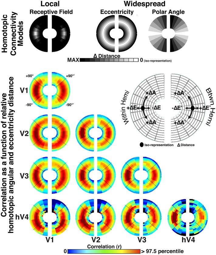 Figure 8—figure supplement 2.