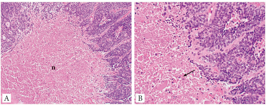 Fig. 3: