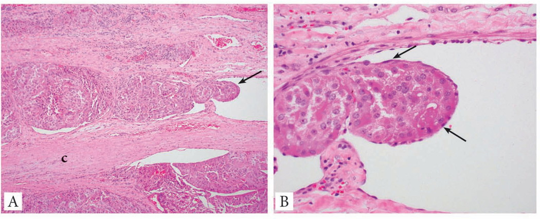 Fig. 2: