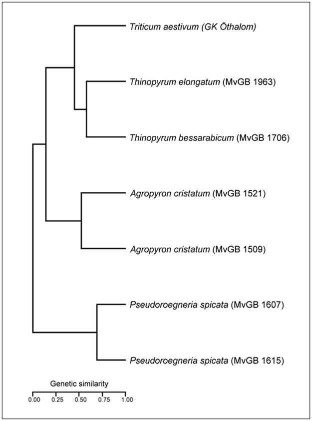 Fig 5