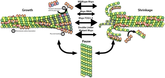 FIGURE 7: