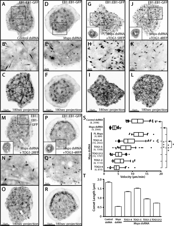 FIGURE 3: