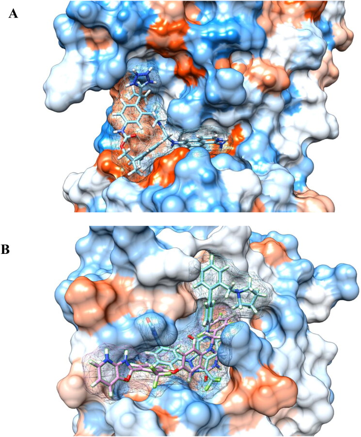 Figure 5.