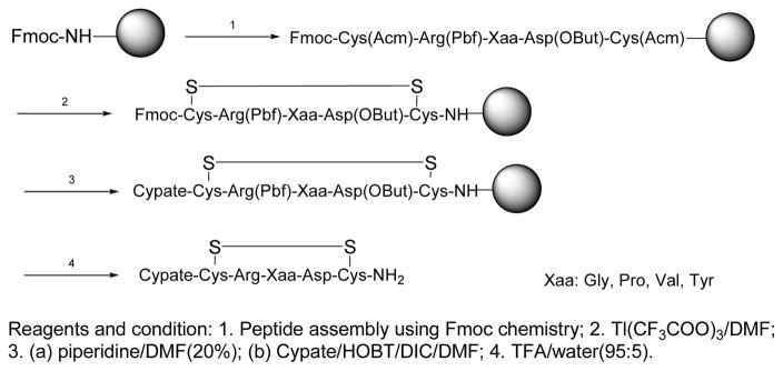 Scheme 1