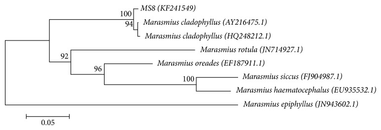 Figure 4