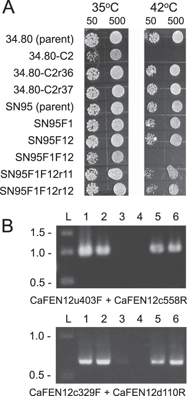 FIG 3