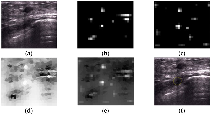 Figure 19