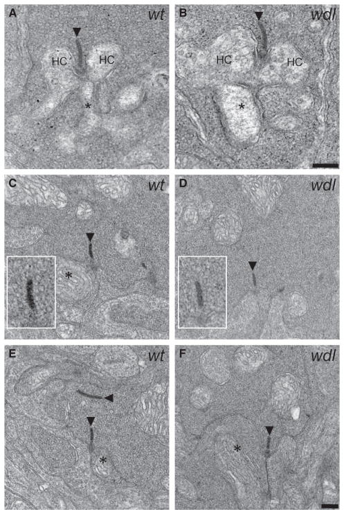 Fig. 11