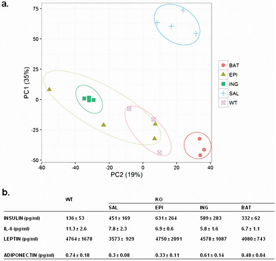 Extended Data Figure 5