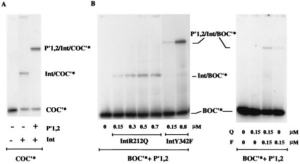 FIG. 5.