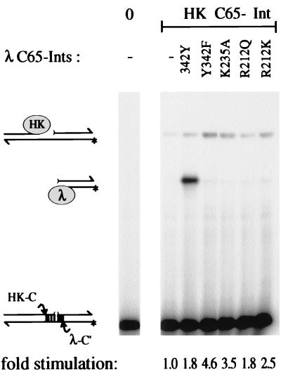 FIG. 6.