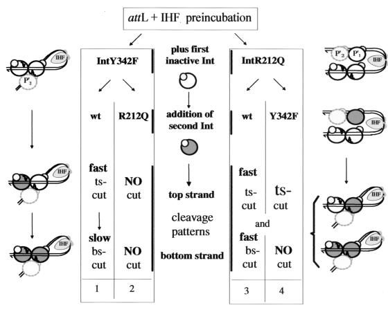 FIG. 7.