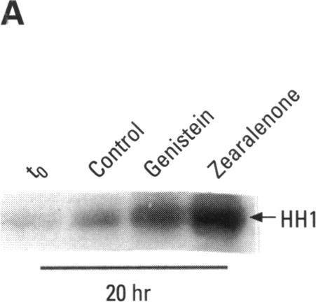 Figure 3. A