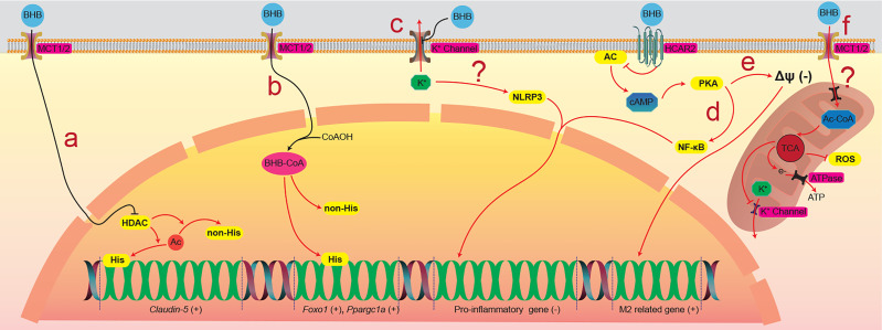 Figure 2