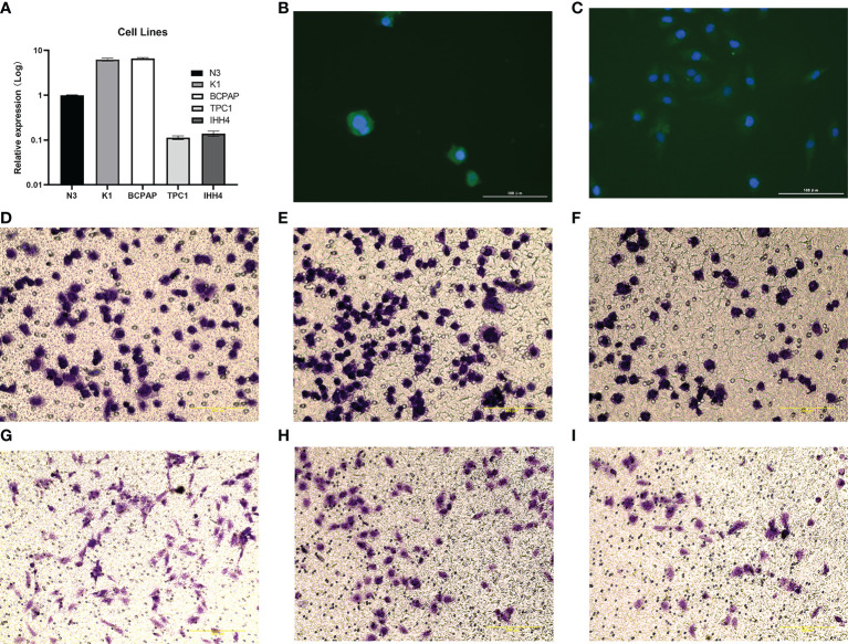 Figure 11