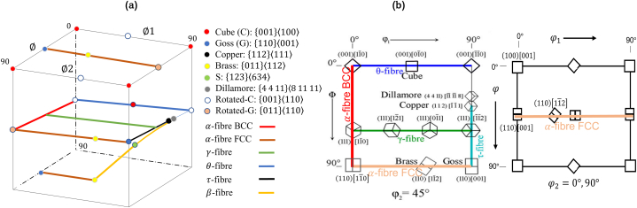 Fig. 13